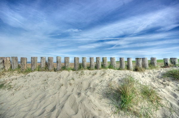 Beach Protection