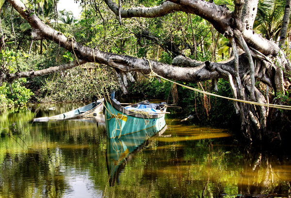 Boat in Goa