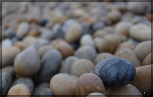 Chesil Pebble