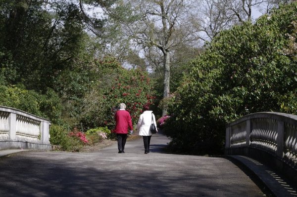 Exbury Gardens