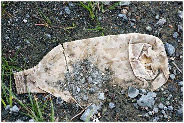 Flattened and Dried