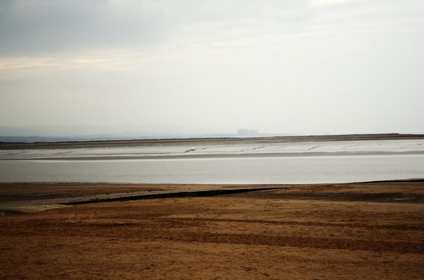 Mist on the Horizon