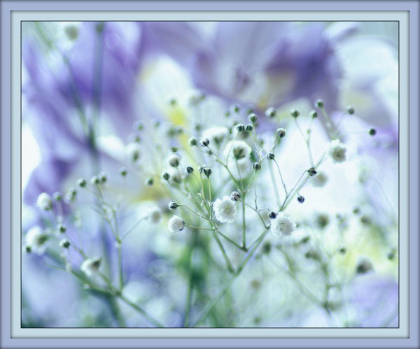 Soft and blue