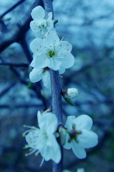 Spring has arrived