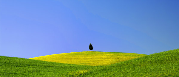 Stand Alone(Looking for a partner)