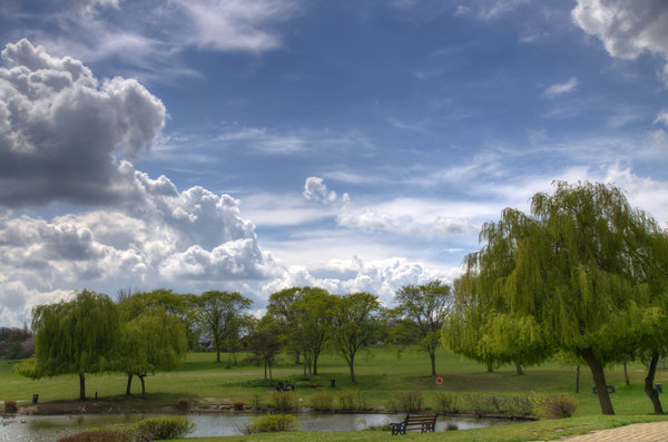 Swanley Park