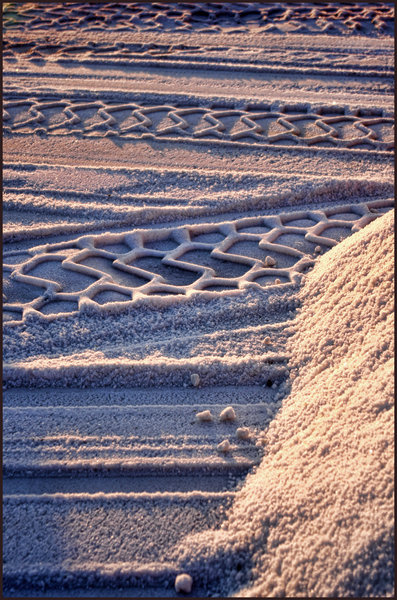 Tire Tracks