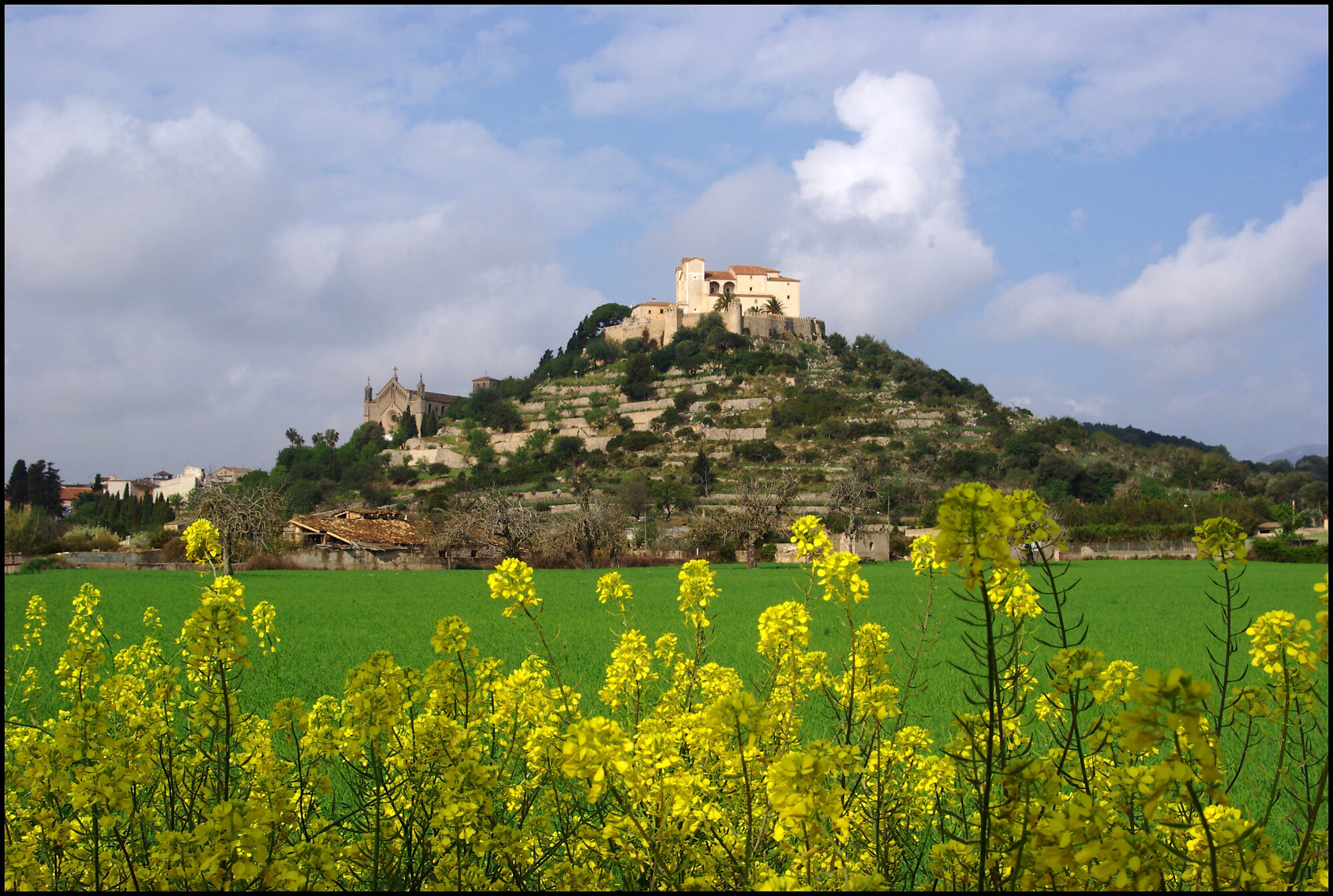 Arta, Majorca