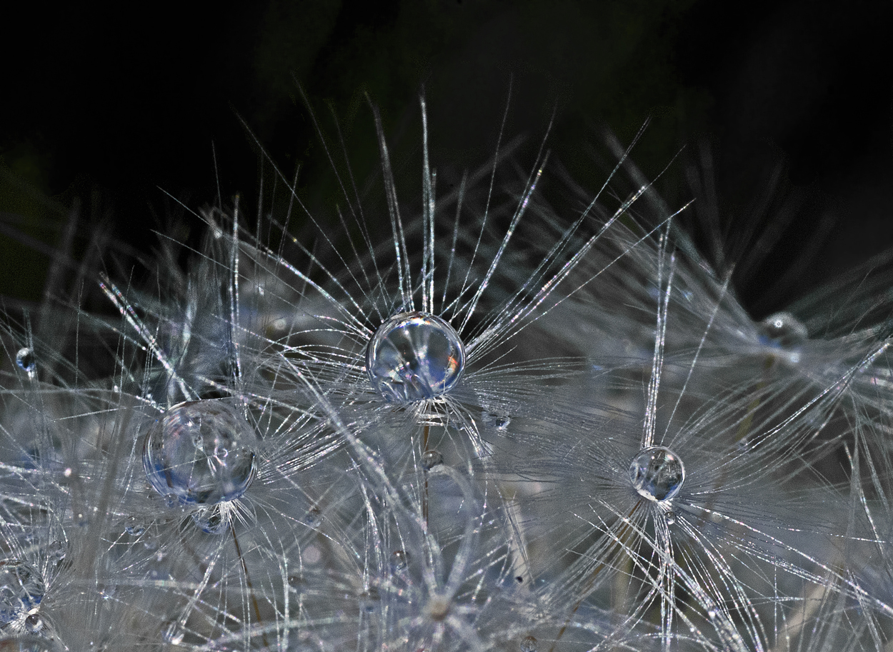 droplets