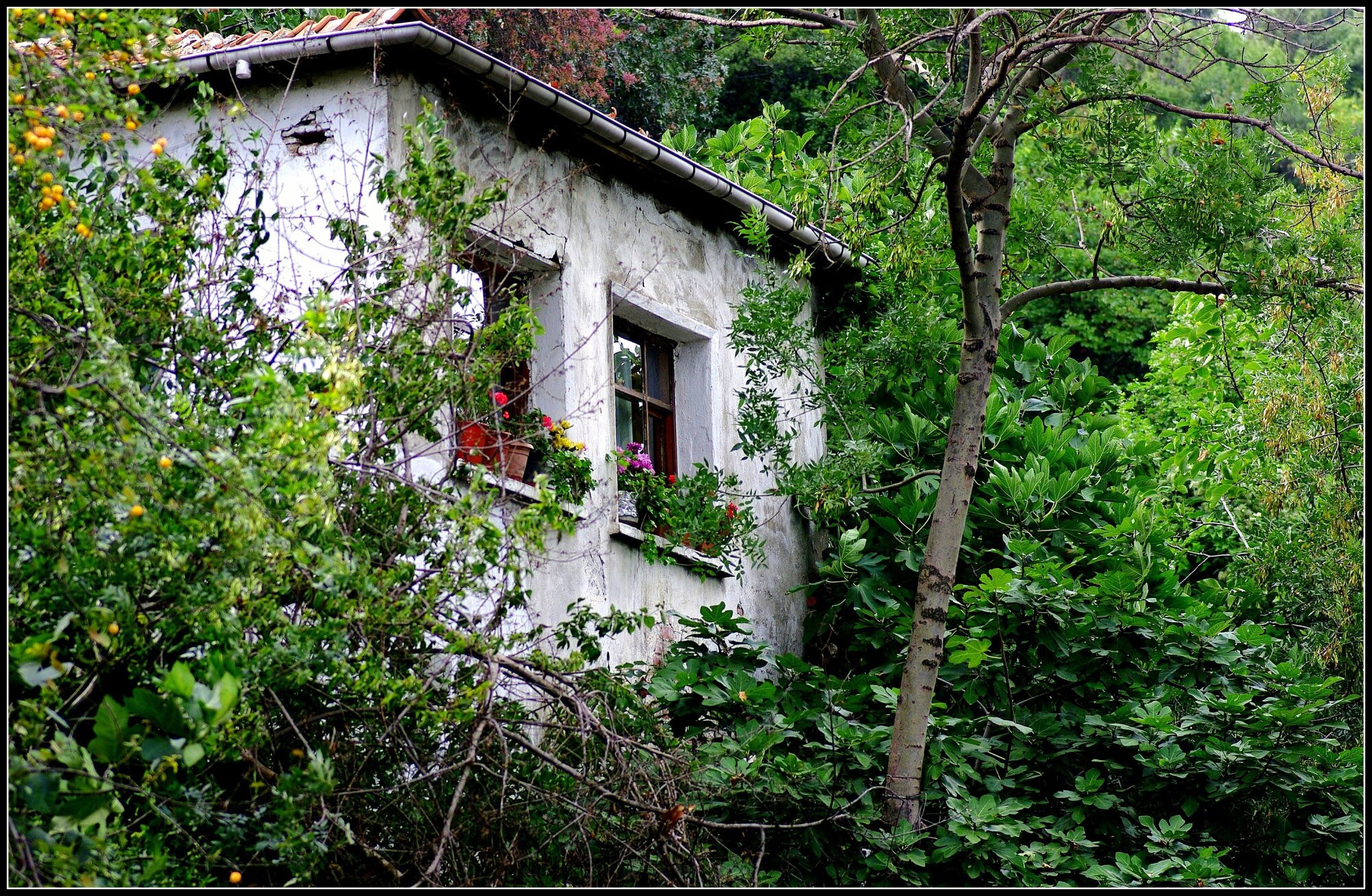 Little House