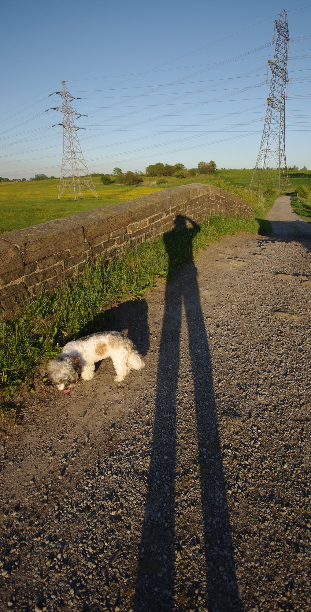 Long Man And His  Dog
