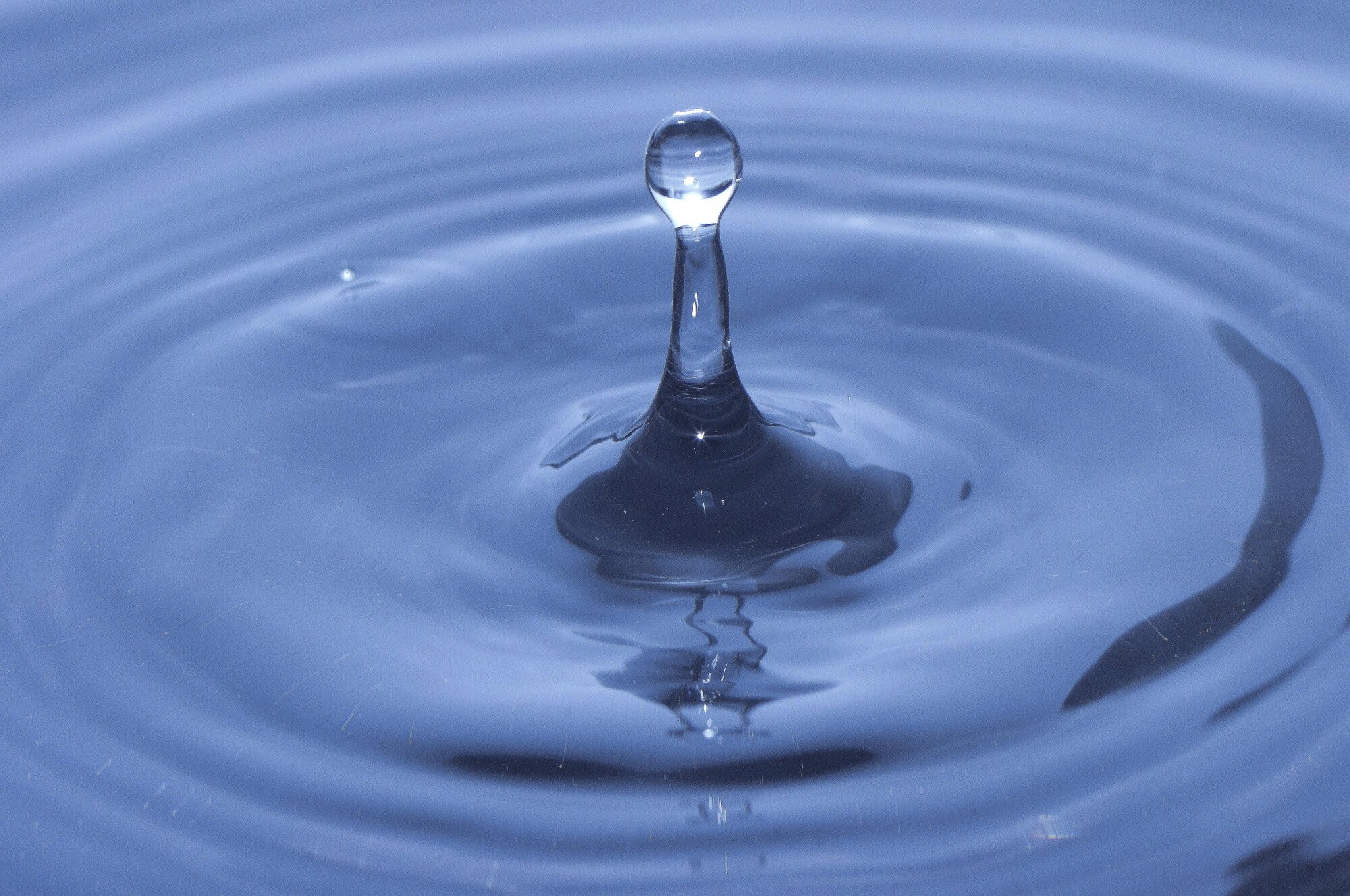 Splash!