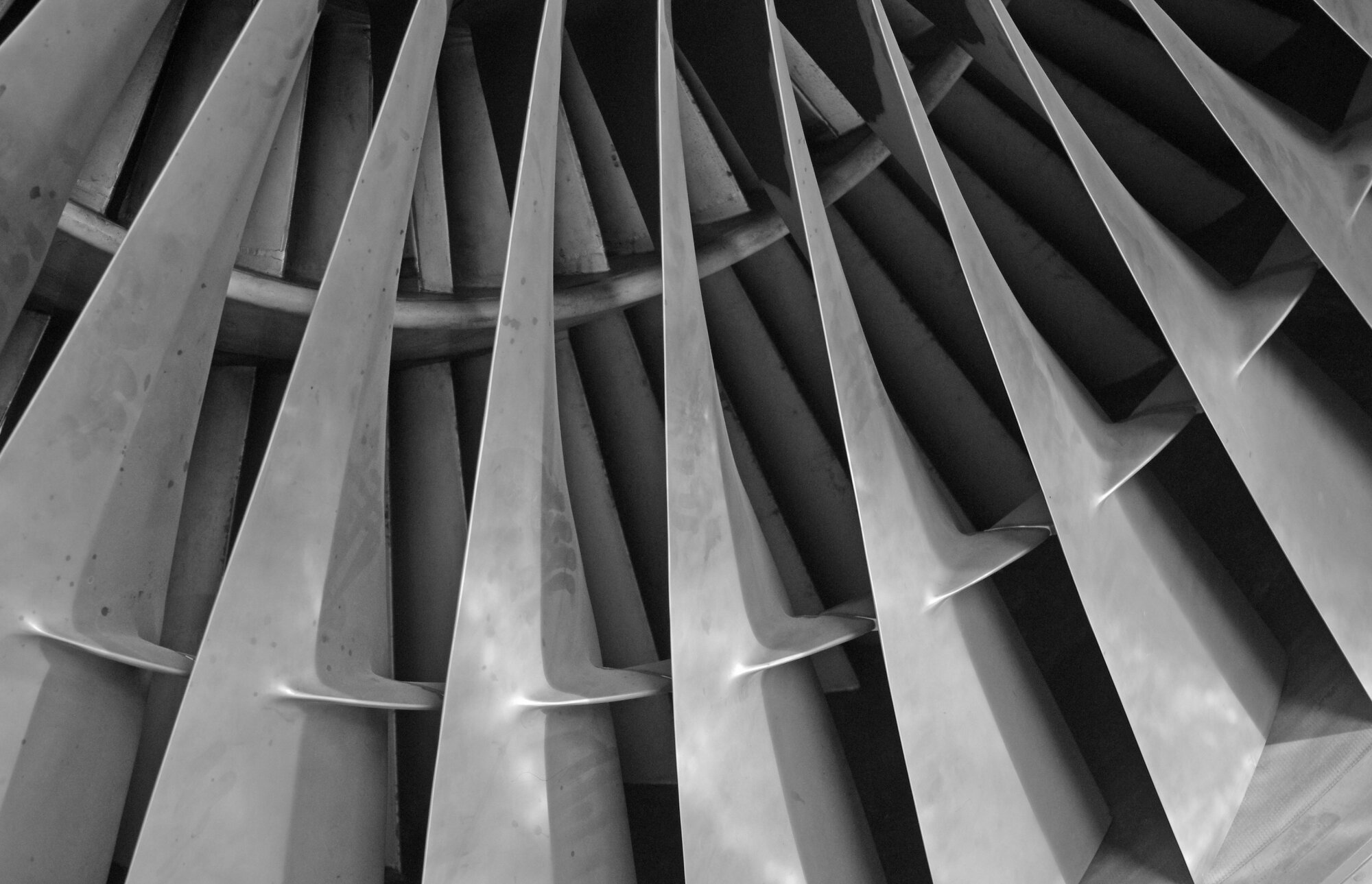 The Blades