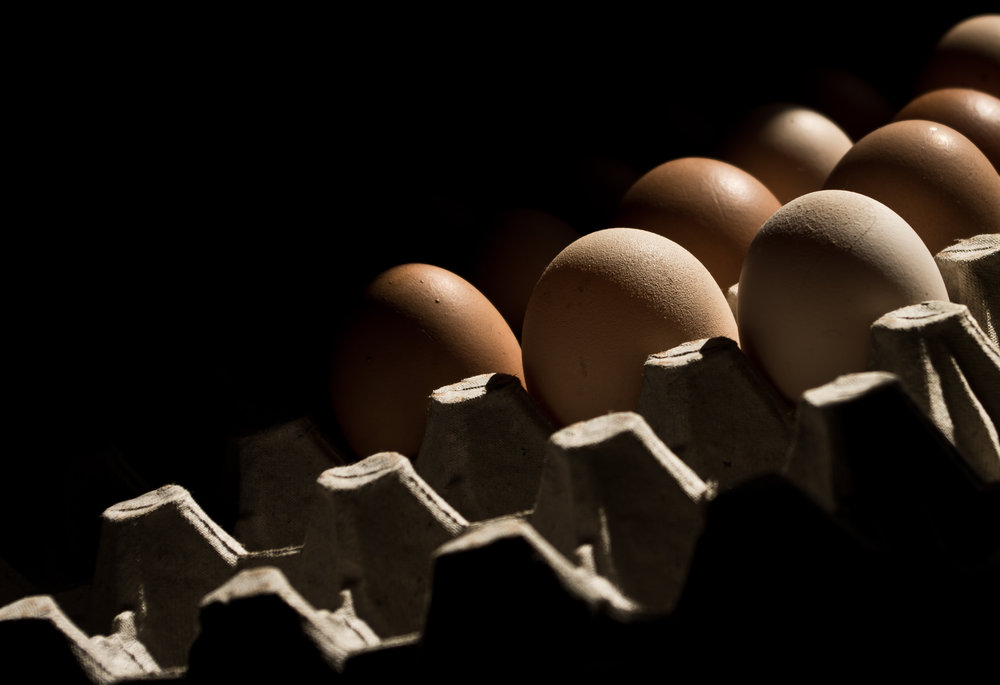 Eggs in Rembrandt light