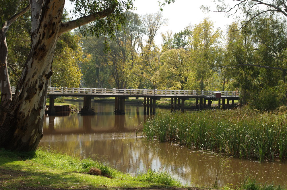 Late afternoon in a park in Euroa