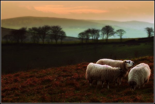 A  tiny corner of England