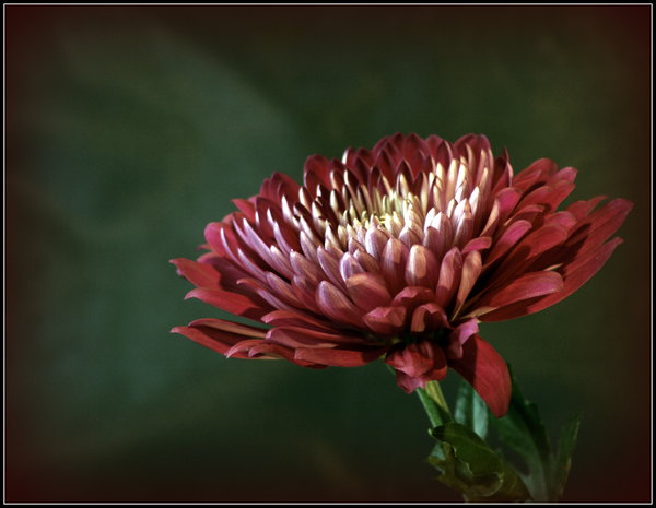 Alone in the light