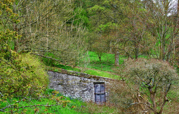 Door to the Woods
