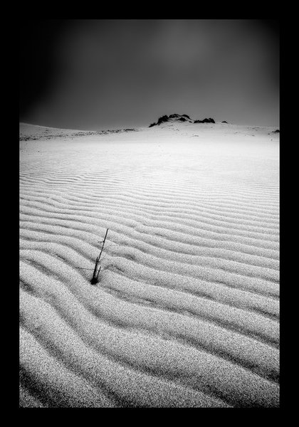 Dune