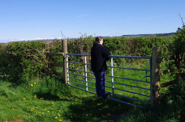 Field gate