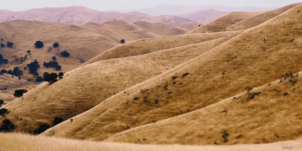 Hills and Field 2a