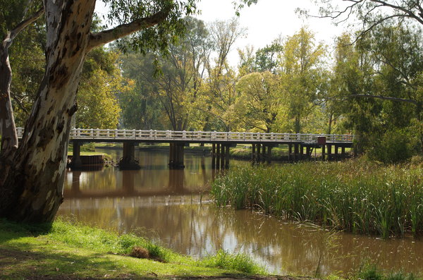 Late afternoon in a park in Euroa