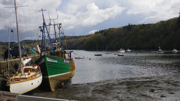 Low tide at Tobemory
