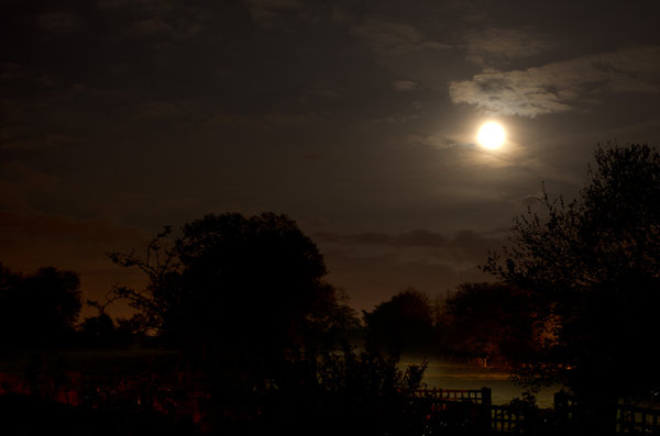 Moonlight shadows