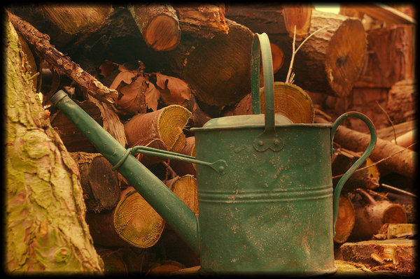 Old watering can