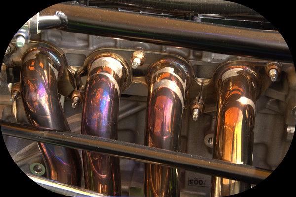 Organ Pipes?