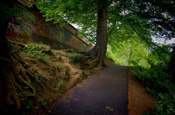 Pathway in the park.