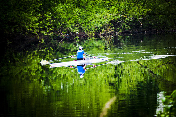 Row that boat