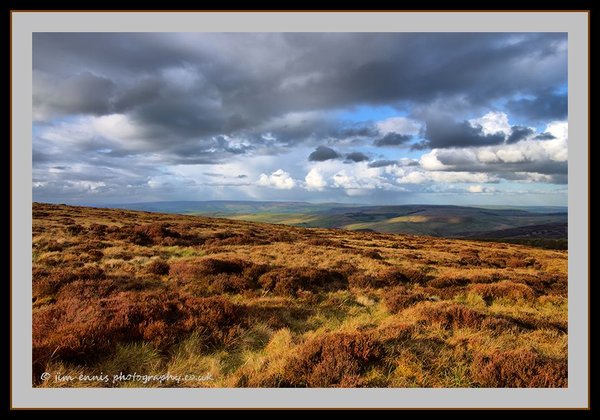 Shining Tor Moor