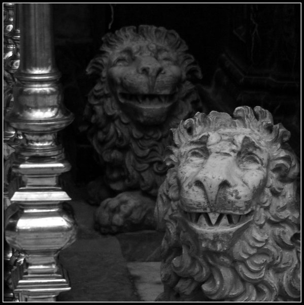 Smiling Lions