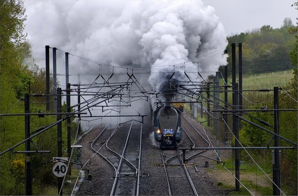 Steam in the rain