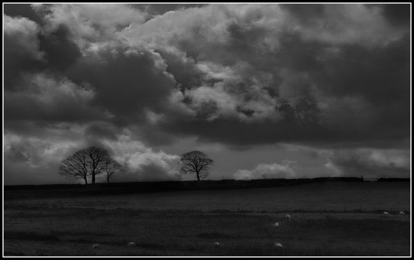 Stormy