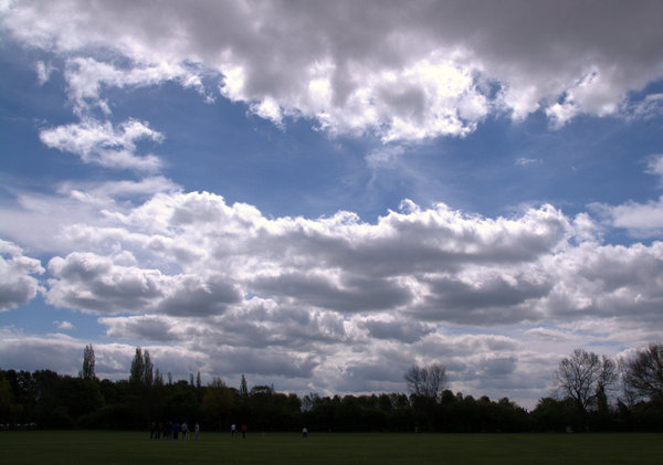 Sunday Cricket