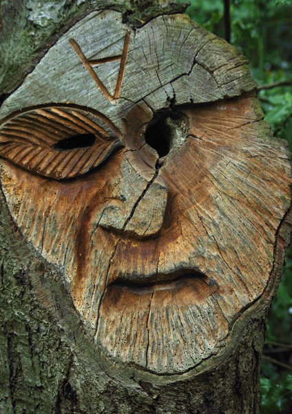 Tree Carving