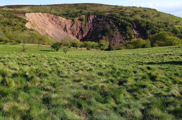Triscombe Stone