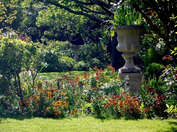 Wallflowers in an English Garden