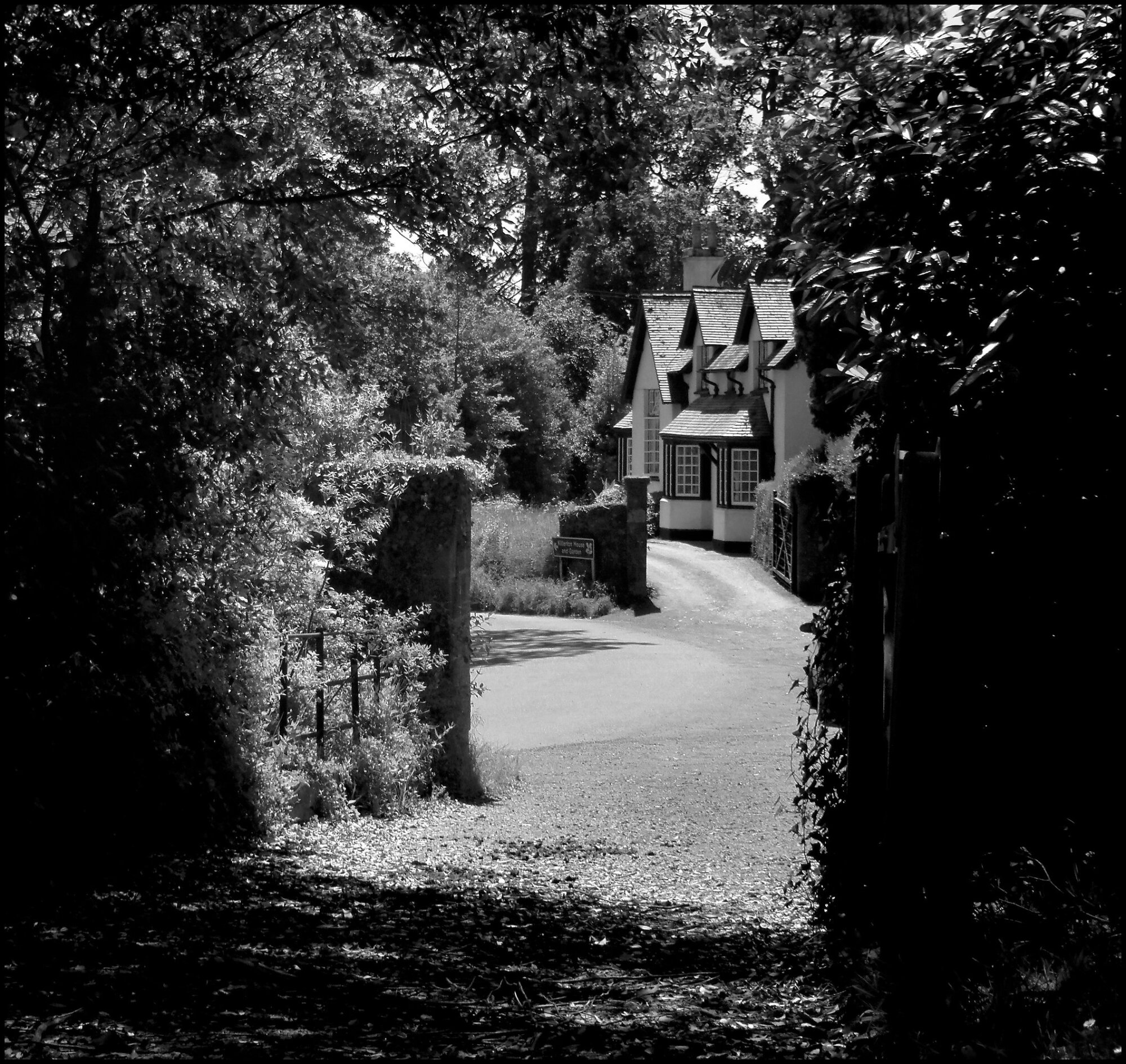 Devon Lane