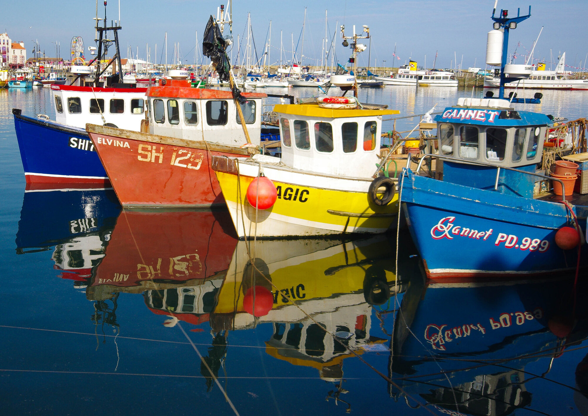 Same Boats - Different Angle
