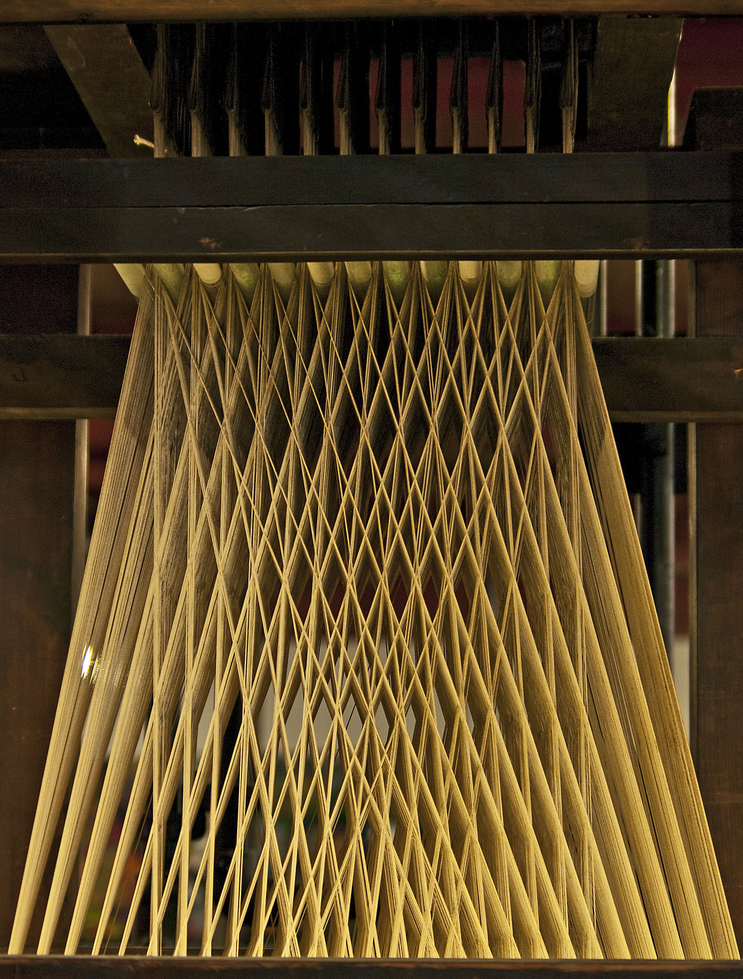 Threads on a jaquard loom