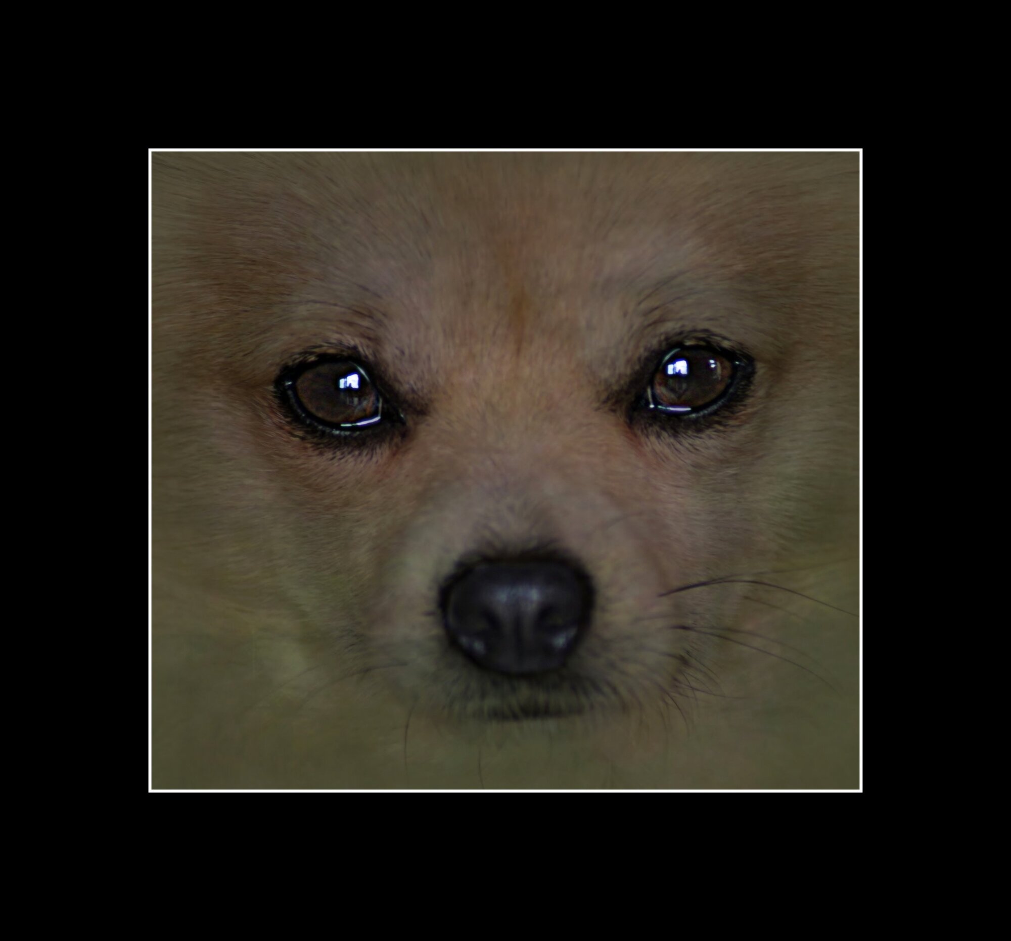 Trusting eyes