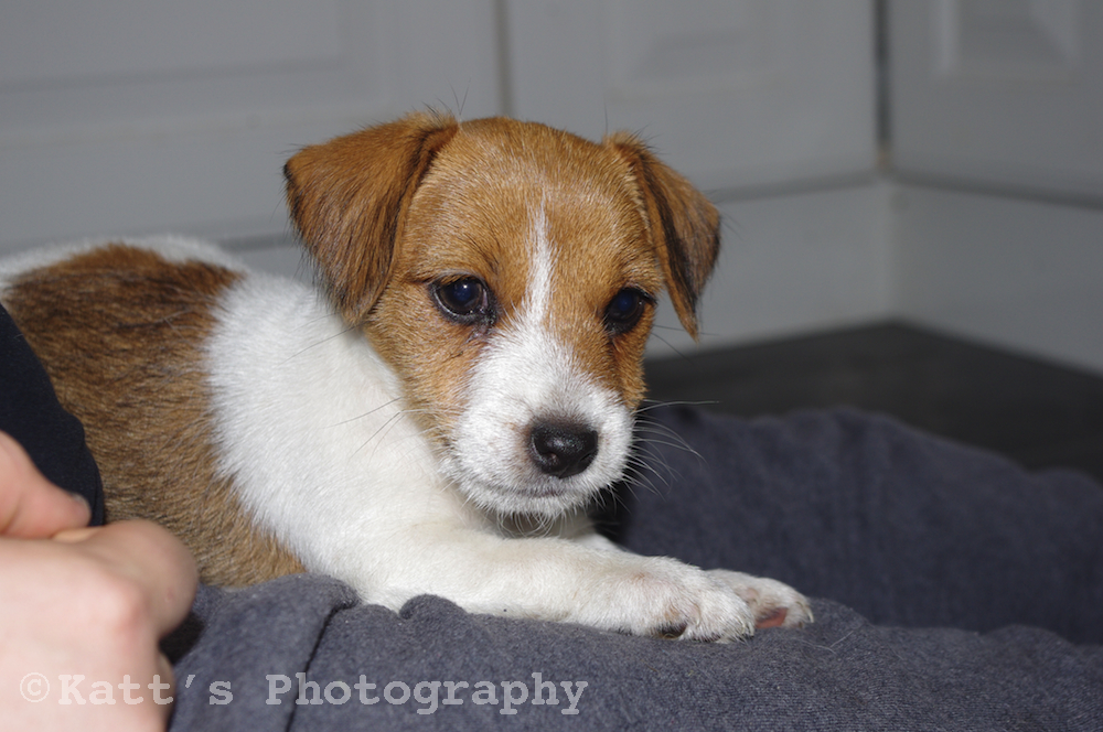 Nellie is such a poser!
