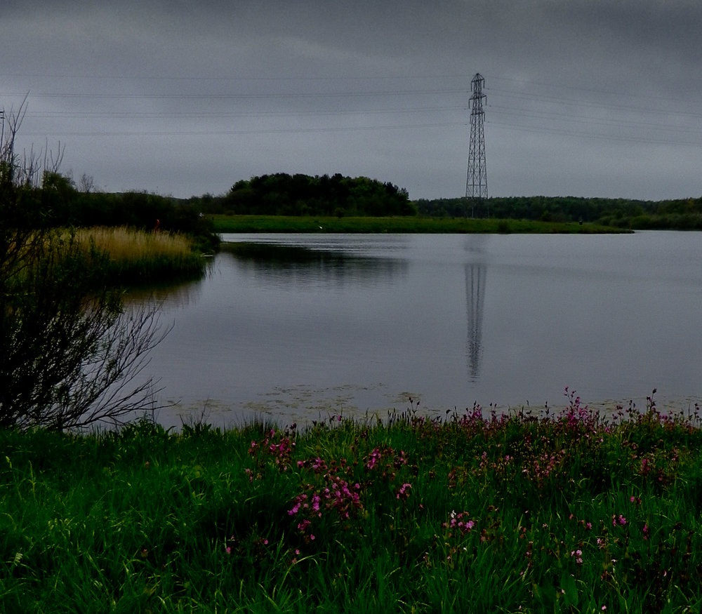 Pylon