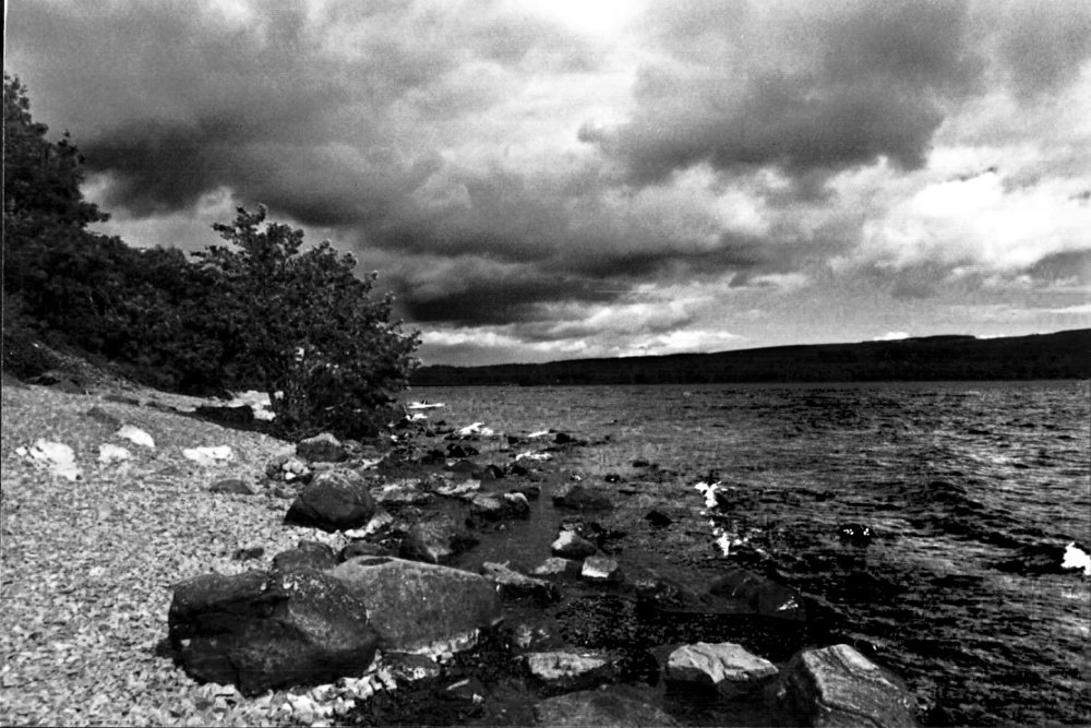 Shoreline
