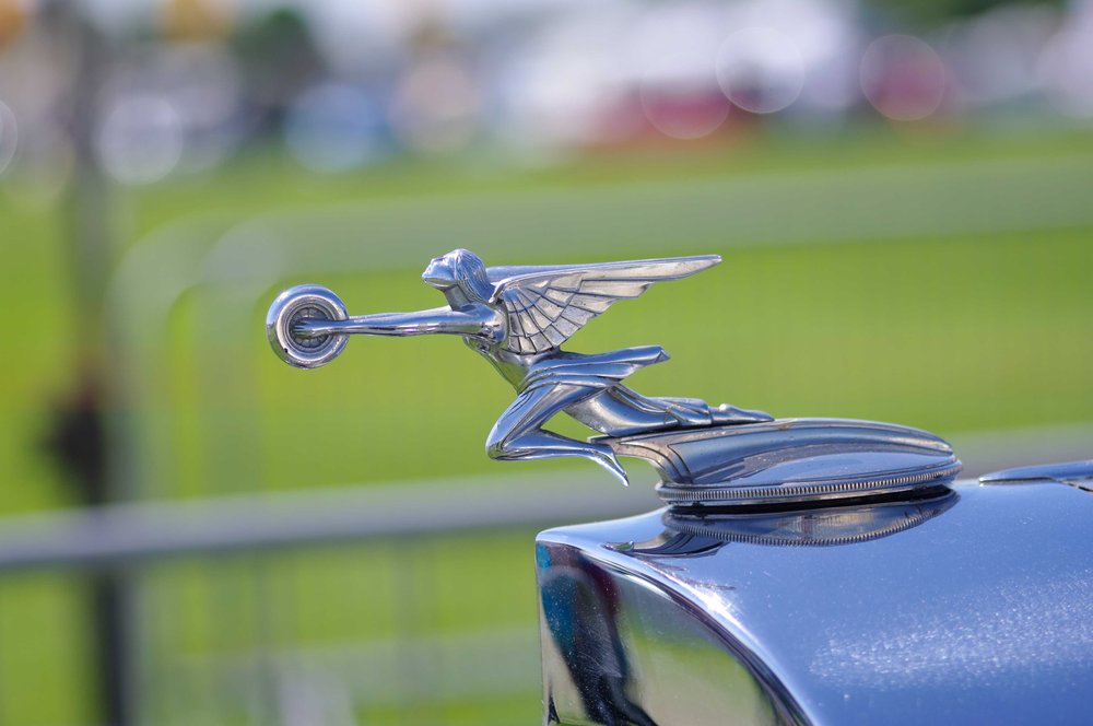 Silver Lady