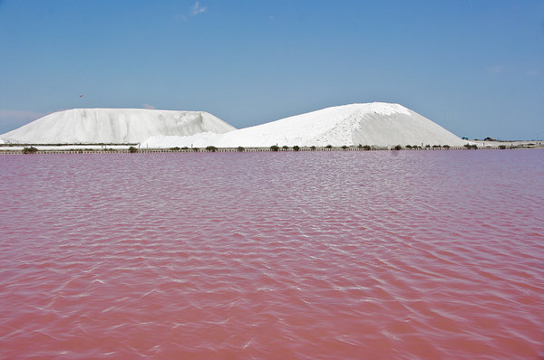 Blue Sky, white Salt and pink salty water - NO Photoshop