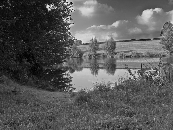 By The Lakeside